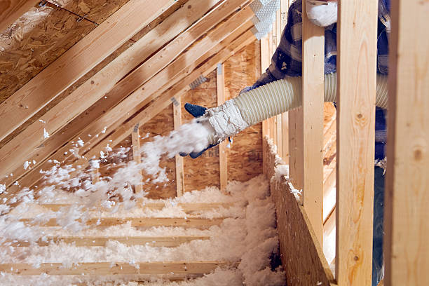 Eco-Friendly or Green Insulation Solutions in Elkins, WV